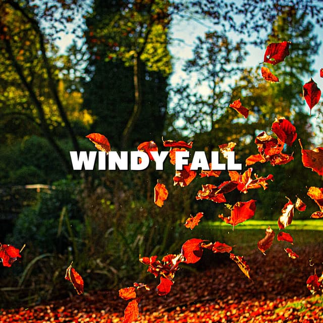 Windy Fall - Natural Sounds Selections