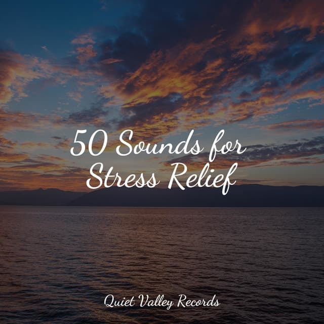 50 Sounds for Stress Relief - Tinnitus Aid