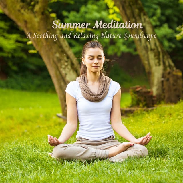 Summer Meditation: A Soothing and Relaxing Nature Soundscape - Rain and Heavy Thunderstorm Sounds