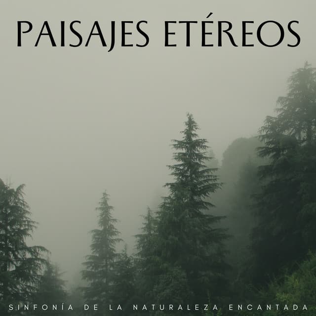 Paisajes Etéreos: Sinfonía De La Naturaleza Encantada - La fuga del bosque