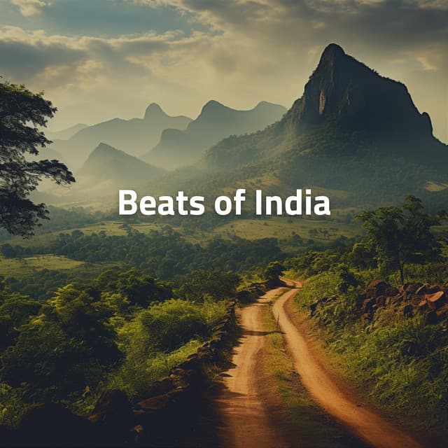 Beats of India - Chillermo