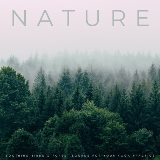 Nature: Soothing Birds & Forest Sounds For Your Yoga Practice - Yoga Nidra