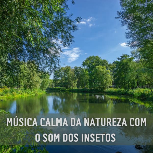 Suave Música para Dormir