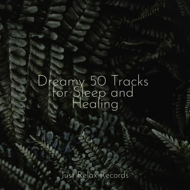 Dreamy 50 Tracks for Sleep and Healing - CANCIONES DE CUNA