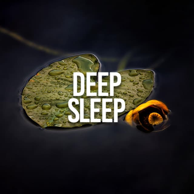Deep Sleep - Sounds Of Nature