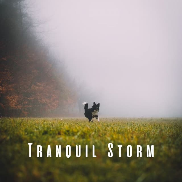Tranquil Storm: Piano Symphonies for Doggy Harmony - Ultimate Piano Relaxation