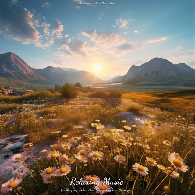 Relaxing Music for Napping, Relaxation, Yoga, to Release Struggle 2 - Sleeping Music