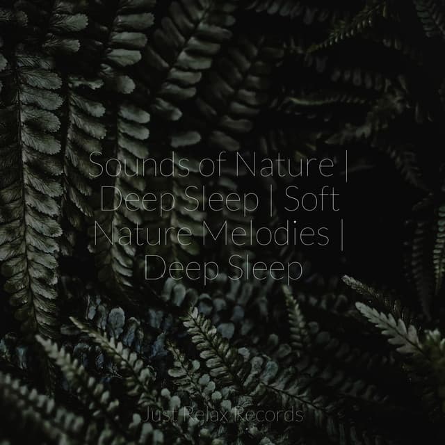 Sounds of Nature | Deep Sleep | Soft Nature Melodies | Deep Sleep - Musica romantica instrumental
