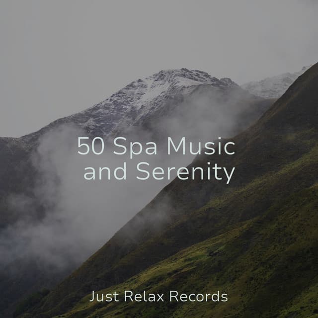 50 Spa Music and Serenity - Sleep Music Lullabies