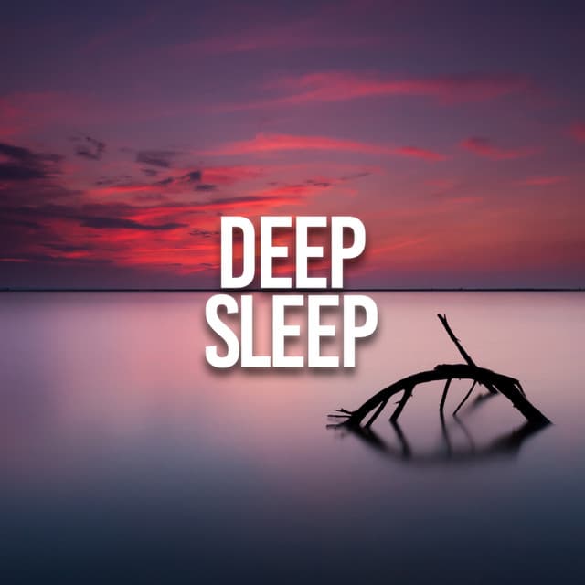 Deep Sleep - Dog Music Dreams