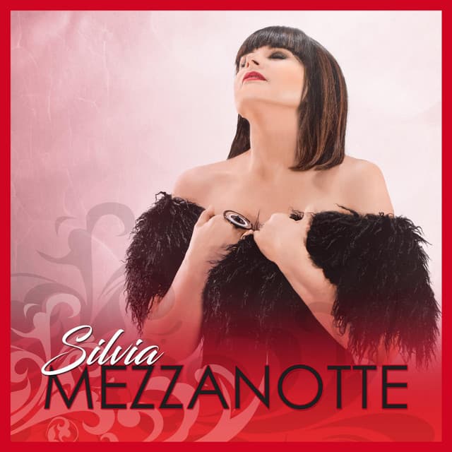 Aspetta un attimo - Silvia Mezzanotte