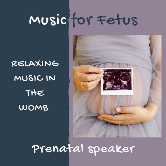 Music for Fetus - Relaxing Music in the Womb, Prenatal speaker - Toddler Bed