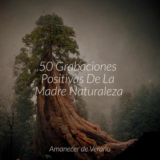 50 Grabaciones Positivas De La Madre Naturaleza - Canciones Infantiles de Niños