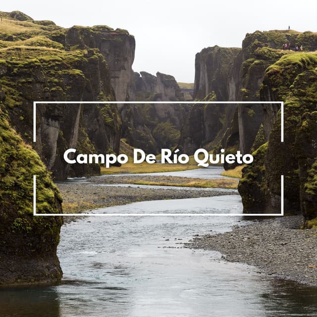 Campo De Río Quieto - Sonido del río para dormir