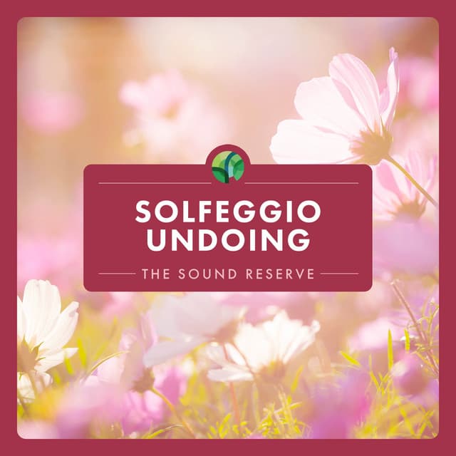 Solfeggio: Undoing - The Sound Reserve
