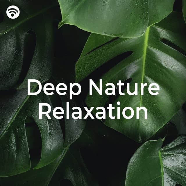 Deep Nature Relaxation - Nature Sounds and Music