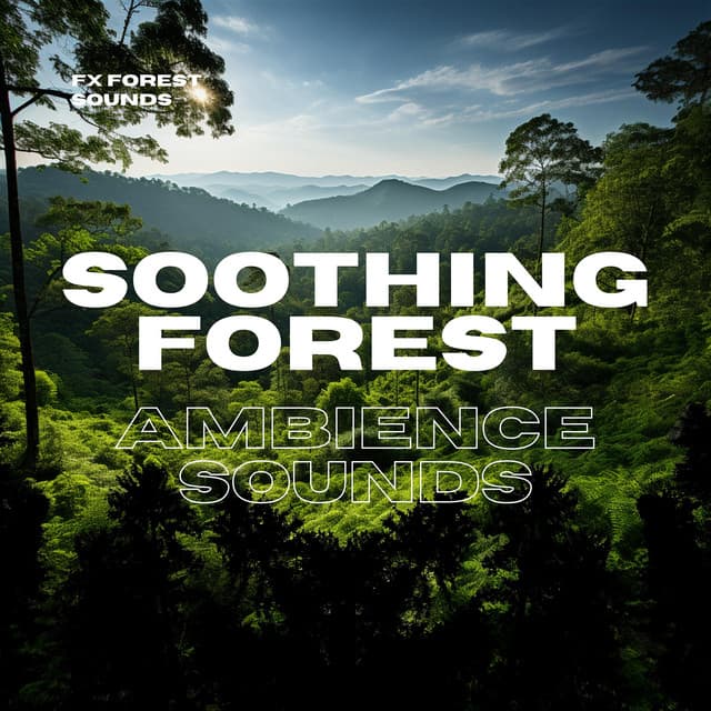 Soothing Forest Ambience Sounds - FX Forest Sounds