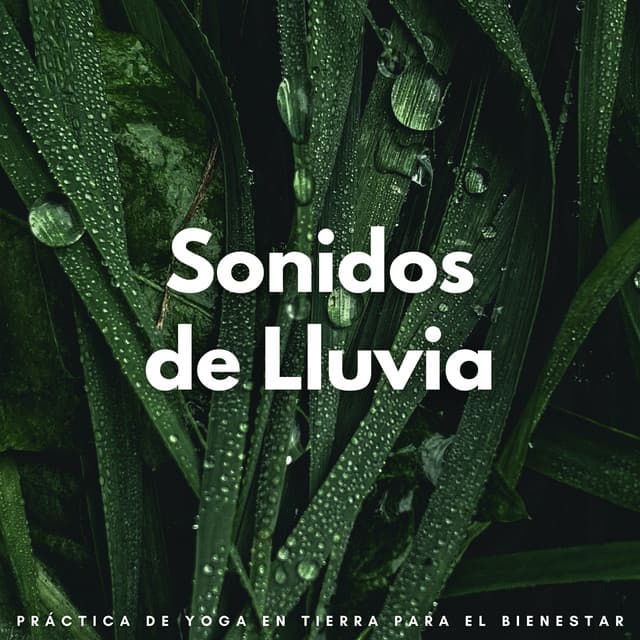 Sonidos De Lluvia: Práctica De Yoga En Tierra Para El Bienestar - Sonidos de lluvia y ruido de fondo