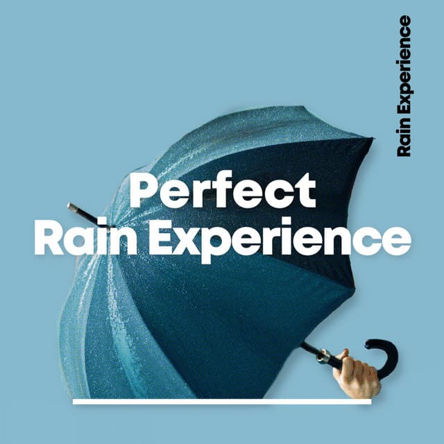Perfect Rain Experience - Rain Recordings