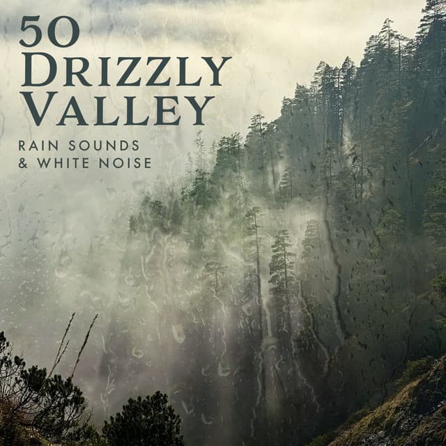 50 Drizzly Valley - Rain Sounds & White Noise