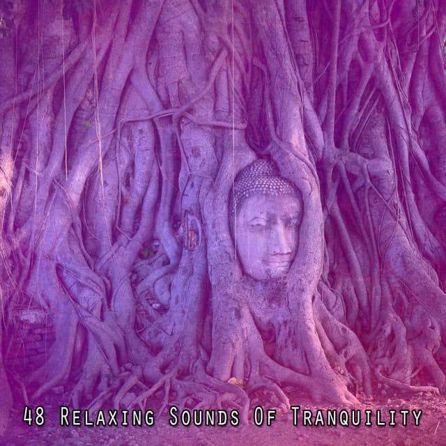 48 Relaxing Sounds Of Tranquility - Entspannungsmusik