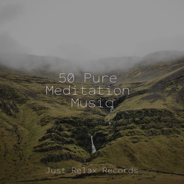 50 Pure Meditation Music - Deep Sleep Relaxation