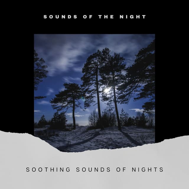Soothing Sounds of Nights - Sounds of the Night