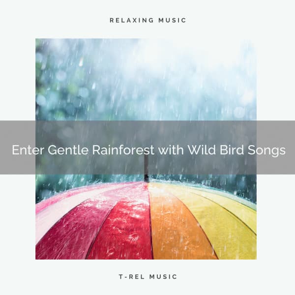 ! ! ! ! ! ! ! ! ! ! Enter Gentle Rainforest with Wild Bird Songs - Heavy Rain Sounds