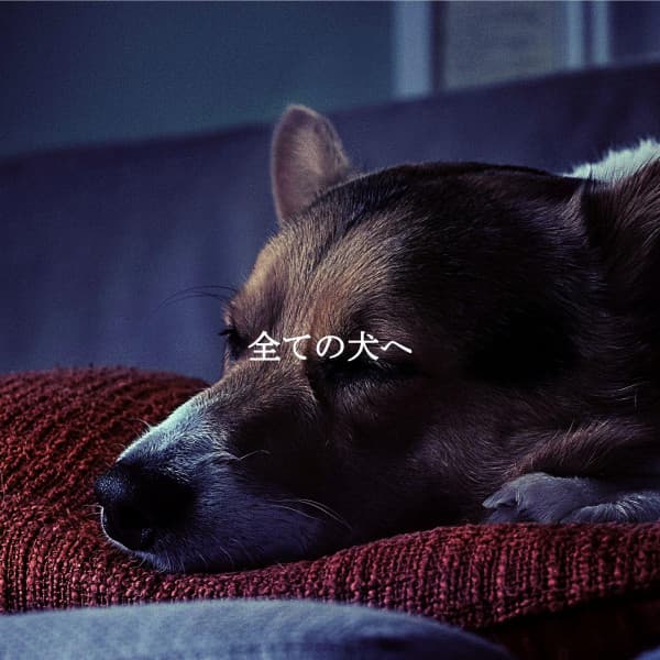 全ての犬へ - Música Ambiental para Cafeterías