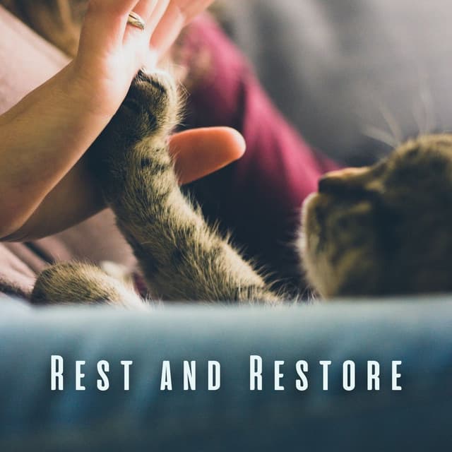 Rest and Restore: Guided Meditations for Mindful Cats - Relaxing Music for Cats