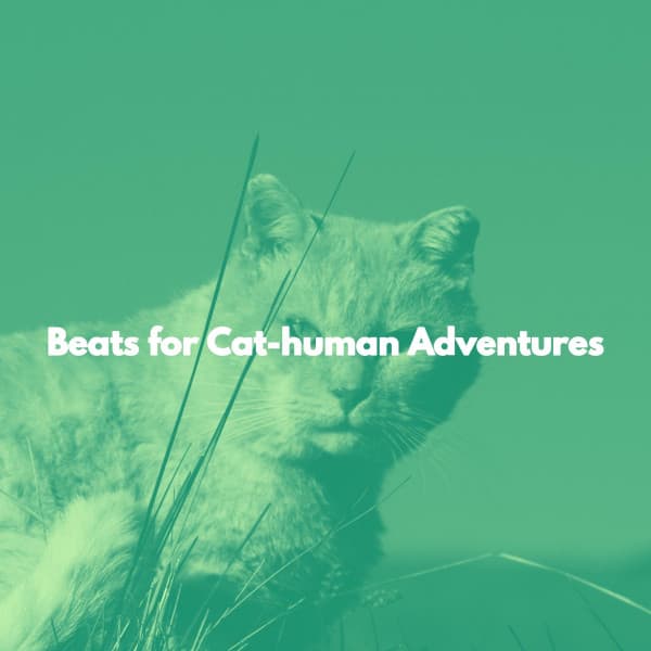 Beats for Cat-human Adventures - Música para Cocinar