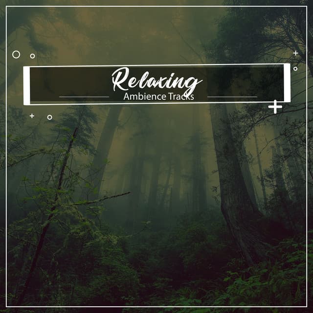 #19 Relaxing Ambience Tracks for Inner Peace - Deep Meditation