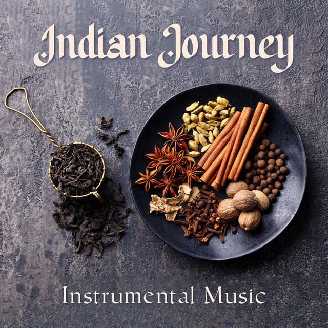 Indian Journey: Instrumental Music for Indian Restaurant and Tea House, Oriental Atmosphere - Background Music Specialists