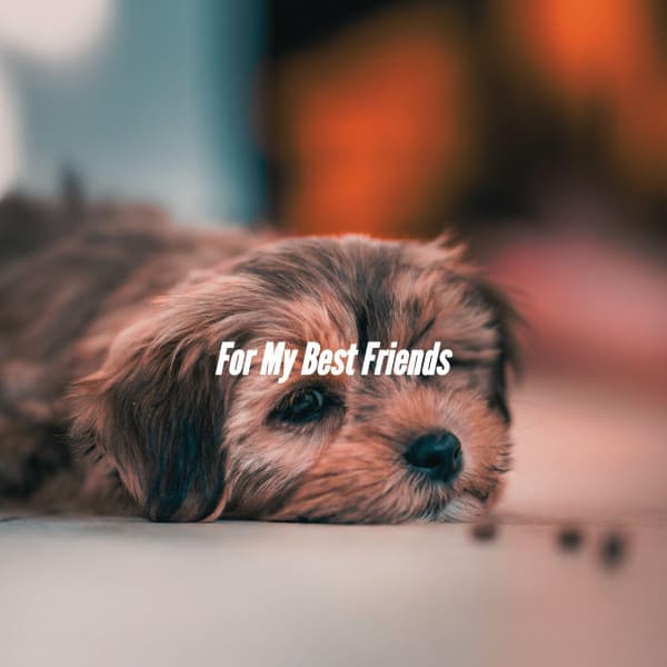 For My Best Friends - Jazz Ambiance