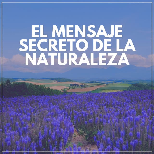 El Mensaje Secreto de la Naturaleza - Sonidos de la Naturaleza para Dormir