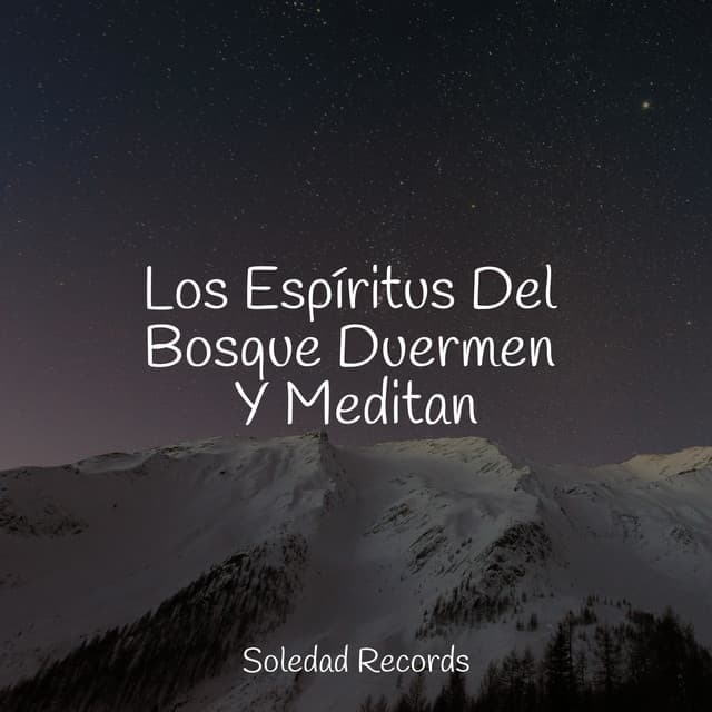 Los Espíritus Del Bosque Duermen Y Meditan - Lluvia