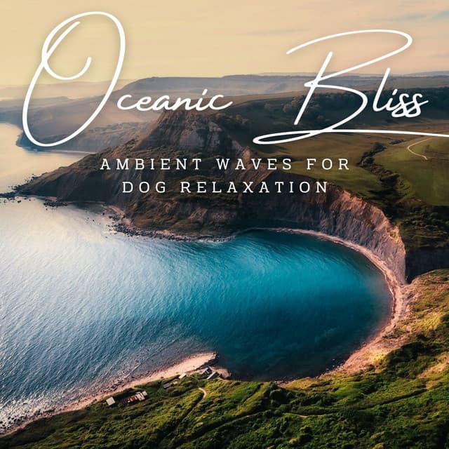 Canine Oceanic Bliss: Ambient Waves for Dog Relaxation - Wave and Ocean sounds