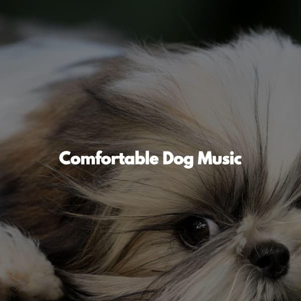 Comfortable Dog Music - Work Music Background Music