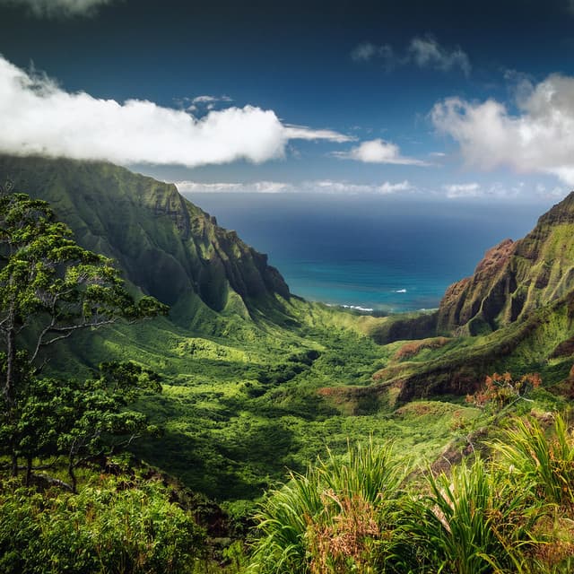 Flujo Armónico: Melodías Para Momentos Serenos - Puros ritmos binaurales