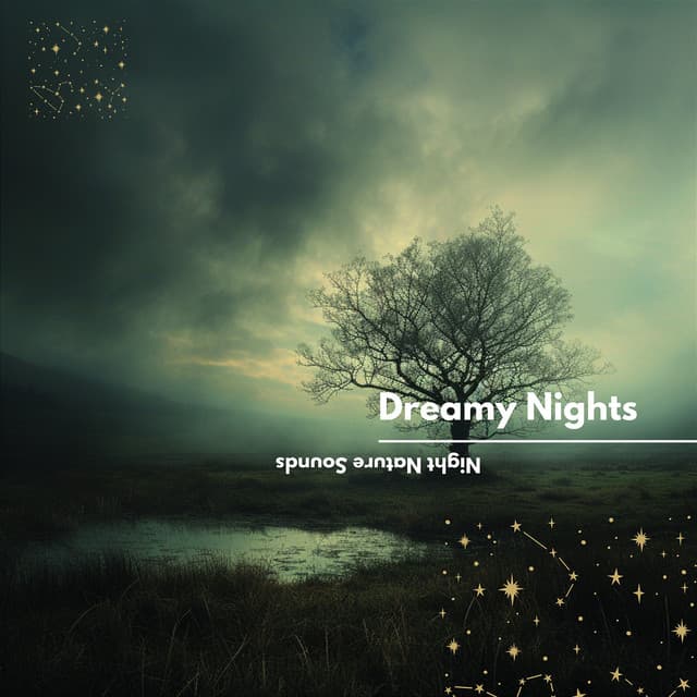 Dreamy Nights: Ambient Nocturnal Sounds - Night Nature Sounds