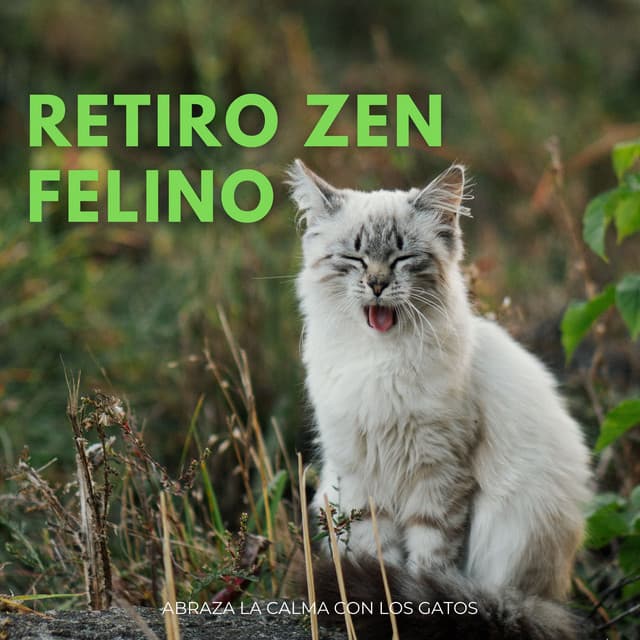 Camino del pino