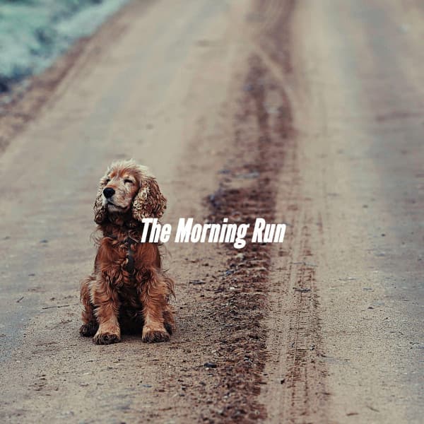 The Morning Run - Music For Your Dog