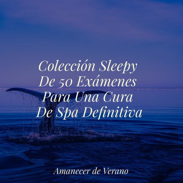 Colección Sleepy De 50 Exámenes Para Una Cura De Spa Definitiva - Música ambiental relajante