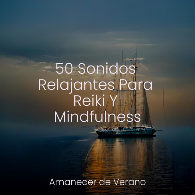 50 Sonidos Relajantes Para Reiki Y Mindfulness - Dormir