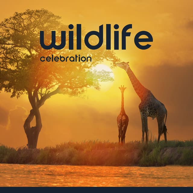 Wildlife Celebration: Relax & Immerse in African Nature - Exotic Nature Kingdom