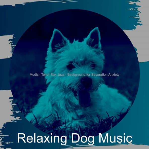 Modish Tenor Sax Jazz - Background for Separation Anxiety - Relaxing Dog Music