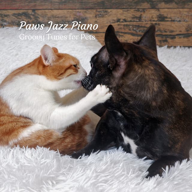 Paws Jazz Piano: Groovy Tunes for Pets - Cafe Jazz Coffee Club