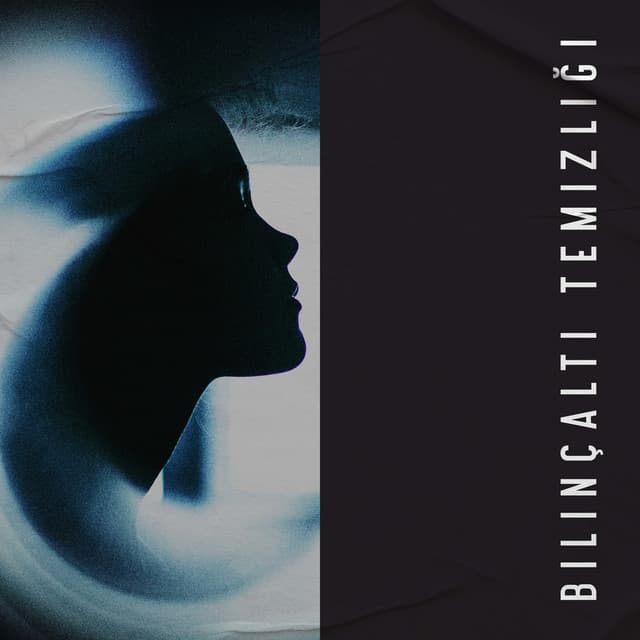 Bilinçaltı Temizliği - Anandani