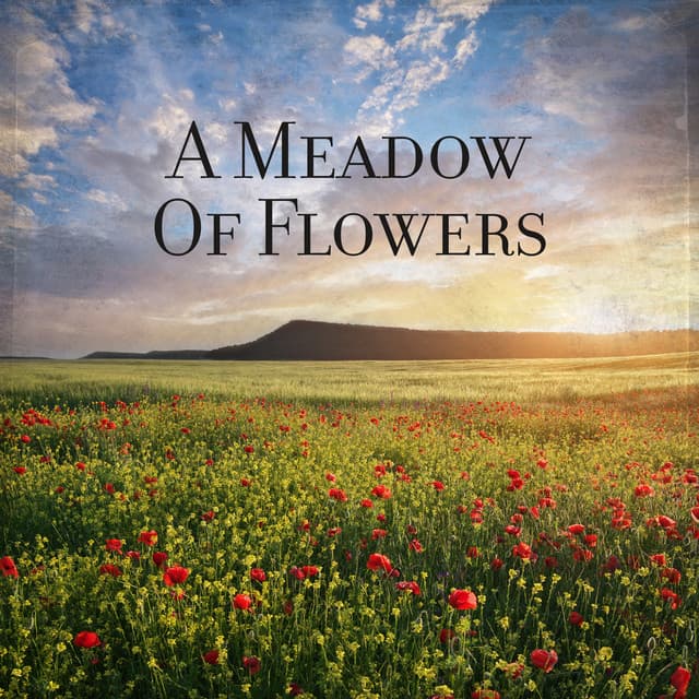 A Meadow Of Flowers - Elevation Of The Spirit