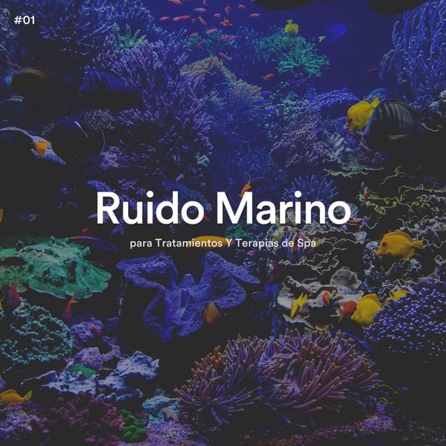 #01 Ruido Marino para Tratamientos Y Terapias de Spa - Olas del Mar